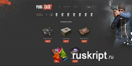 Скрипт PUBGCASE